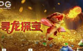 bwin必赢登录入口app官网最新版