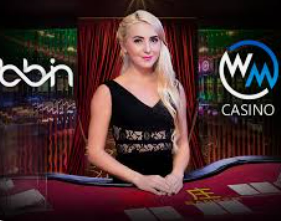 bwin必赢登录入口app官网手机版